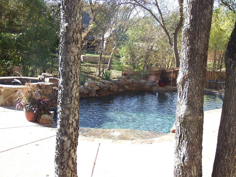 Freeform pool tucked beneath oak trees with stone coping